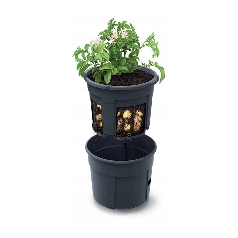 Bulvių augintojo izie400 antracito prosperplast vazonas bulvėms auginti