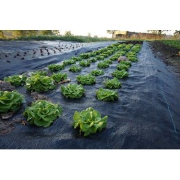 Non woven fabric 90g 3x100m anti weed