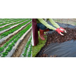 Black agrotextile against weeds