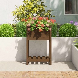 Vidaxl puķu pods ar plauktu, medus brūns, 54x34,5x81 cm, priedes koks