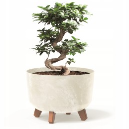 Apvalus vazonas 29cm, kreminis dubuo, kojelės, įdėklas