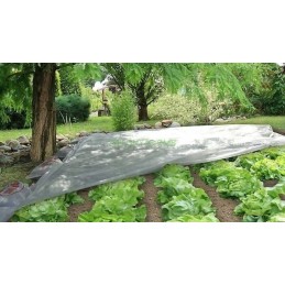 Kevadaia lausriie 3,2x10m