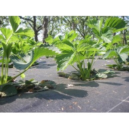 Must agrotekstiil, tugev umbrohu vastu