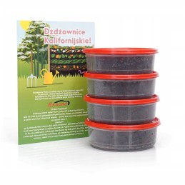 400pcs compost worms Californian earthworms