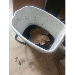 400gab Kalifornijas slieku komposta tārpi