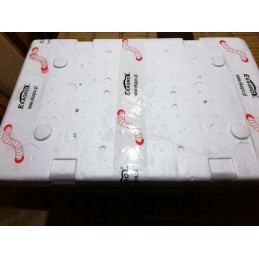 300pcs compost Californian earthworms