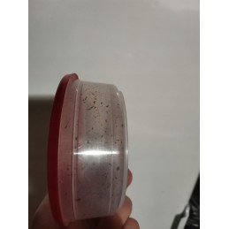 300pcs compost Californian earthworms
