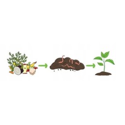 Earthworms for composter 200pcs