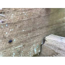 Wooden eco-compost bin - modular version