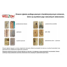 Koka kompostētājs 100x100 ražotājs