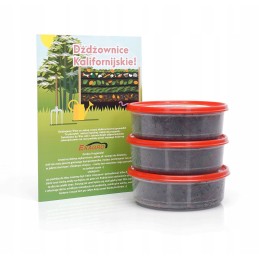 300pcs compost Californian earthworms