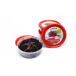 300pcs compost Californian earthworms