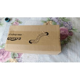 300pcs compost Californian earthworms