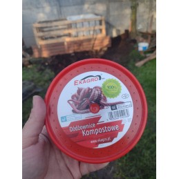300pcs compost Californian earthworms