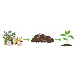 Earthworms for composter 0 5kg