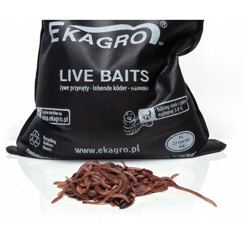 1000 pcs compost earthworms California mix