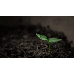 Probios plus komposteris