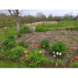 Sodo komposteris, medinis modulinis komposteris, eko kurmių tinklas