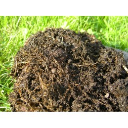 Vakcina komposteriui! kuprotasis banginis