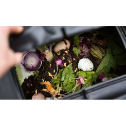 1000 vnt Kalifornijos komposto sliekų mišinys