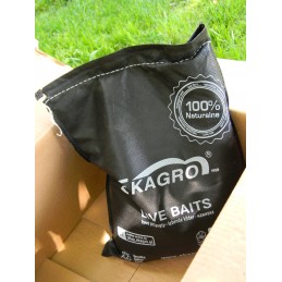 1000 vnt Kalifornijos komposto sliekų mišinys