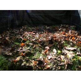 1000 vnt Kalifornijos komposto sliekų mišinys