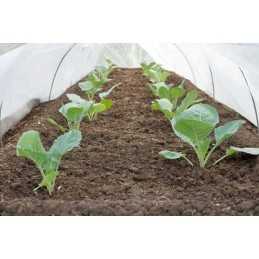 Agrotekstilė 1,6m x 5m, svoris 50g/m2