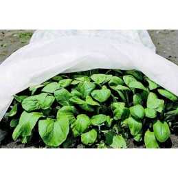 Agrotekstilė 1,6m x 5m, svoris 50g/m2