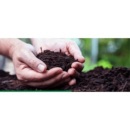 Ištisus metus veikiantis komposteris 480l multikomposteris juodas