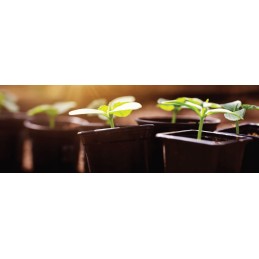 Gardener alati hea kaubamärk!!!