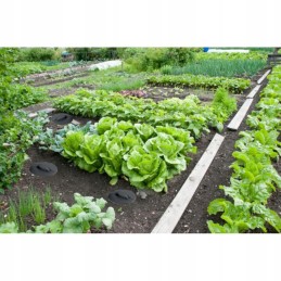 3x požeminio modulinio sodo komposterio rinkinys 11l