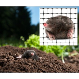 Medinis komposteris, sodo komposteris, ekologiškas kurmių tinklas