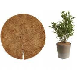 Informacija apie šį produktą