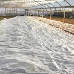 Smeigtukai agrotekstilei tvirtinti, inkariniai kaiščiai, 50 vnt, 15 cm