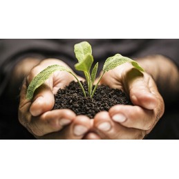 2000 vnt Kalifornijos komposto sliekų mišinys