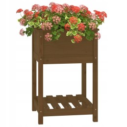 Vidaxl Planter with Shelf Honey Brown 54x54x81 cm Solid Pine Wood