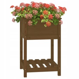 Vidaxl puķu pods ar polkas medus brūnu 54x54x81 cm priedes masīvkoka