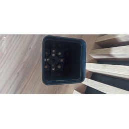 Seedling pots 9x9cm square 100pcs hard