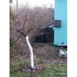 Ecobat ecosmart uždaras komposteris 420 l, didelės talpos, aukštos kokybės