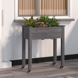Vidaxl puķu pods uz riteņiem ar oderi pelēka 71x37x80 cm egle