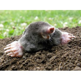 Modulinis juodas sodo komposteris 360 ištisus metus