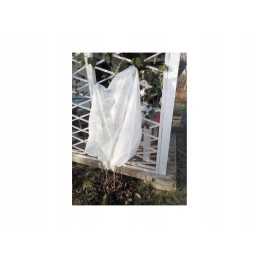 Apsauginis gaubtas augalams