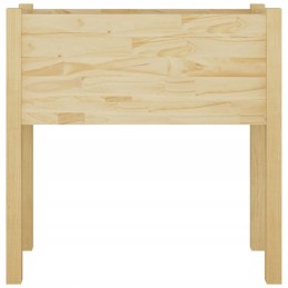 Lumarko sodo vazonai 2 vnt 70x31x70 cm kieti
