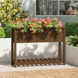 Puķupods ar polkas medus brūnu 111 5x34 5x81 cm priedes koks
