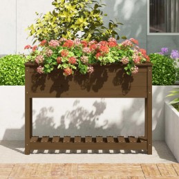 Puķupods ar polkas medus brūnu 111 5x34 5x81 cm priedes koks