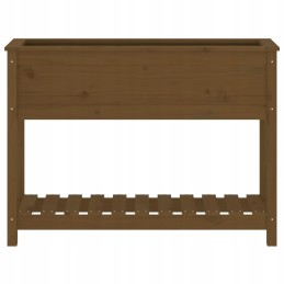 Puķupods ar polkas medus brūnu 111 5x34 5x81 cm priedes koks