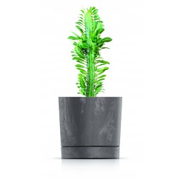 Tubo beton effect flowerpot with saucer 11 cream