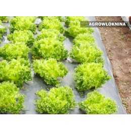Agrotekstilė agrotekstilė tarppamušalas wigofil 1,5x10 m 30g baltas