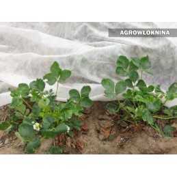Agrotekstilė agrotekstilė tarppamušalas wigofil 1,5x10 m 30g baltas