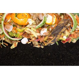 Dėžutės konteineris atliekoms lupti, sveikam kompostui